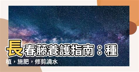 長春藤種植|【長春藤種植】長春藤養護指南：種植，施肥，修剪澆。